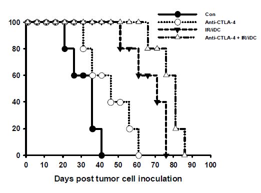Kaplan-Meier survival curve of tumor cell (CT-26 colon cancer)-bearing mice.