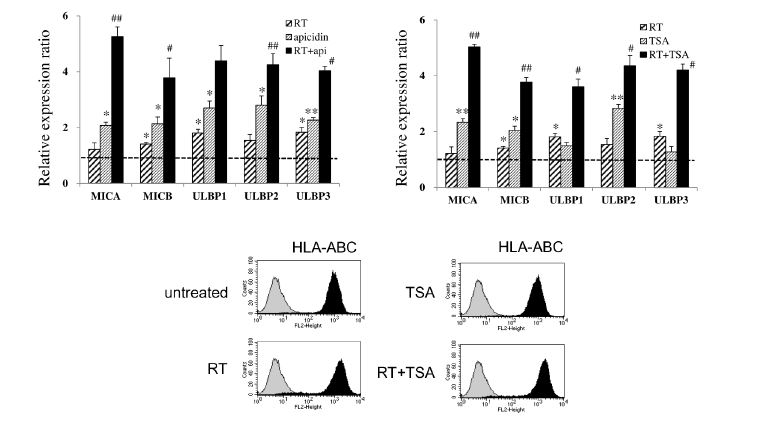 Cell surface expression of NKG2D ligands treated with HDACi in A549 cells after RT. Cell surface expression was analyzed by flow cytometry with the specific mAbs against NKG2D ligands.