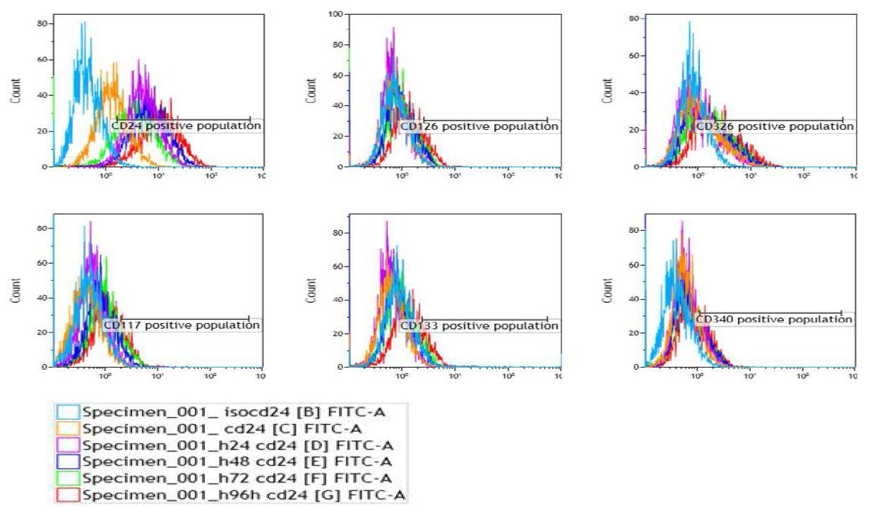 간암세포 HepG2는 저산소 환경에서 CD49f, 117, 126, 133, 253, 340이 72h 에서부터 증가하며 96시간에 더 크게 증가하는 것을 확인 할 수 있었다.