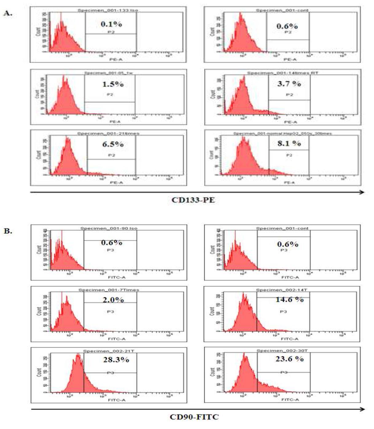 간 암세포주 HepG2 세포에 0.5Gy g-irradiation을 조사 하여 형광표지 항체로 염색하여 FACS로 분석한 결과