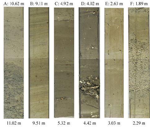 그림 82. 매호에서 채취된 PMR-2 퇴적물 코어시료의 단면