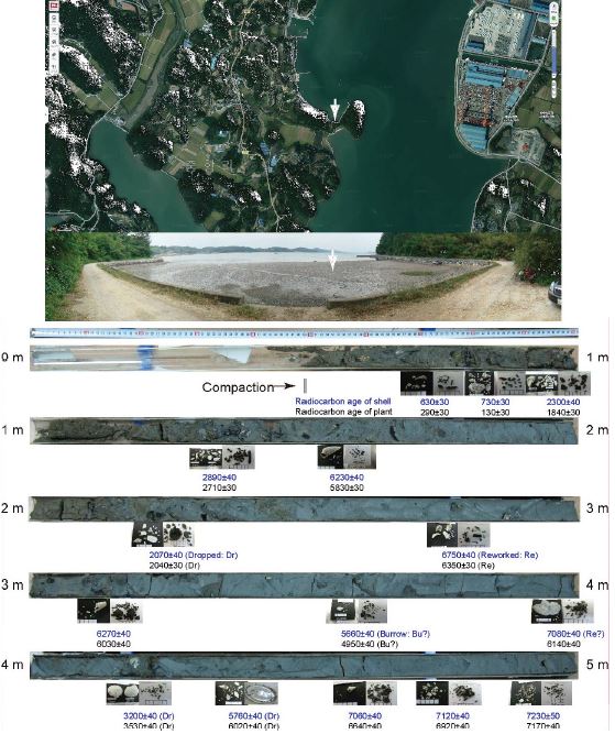 그림 99. S13 사이트의 항공사진과 거기서 채취한 코어의 단면