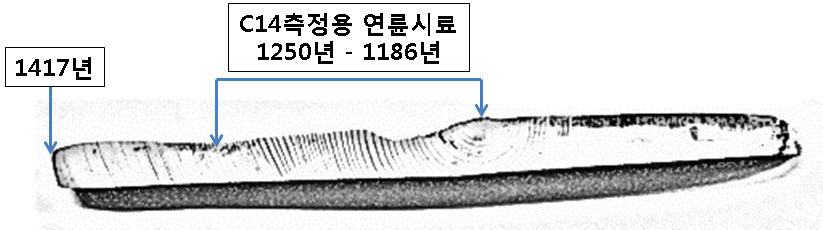 그림 130. 탄소보정곡선용 시료 (1250년 - 1186년)