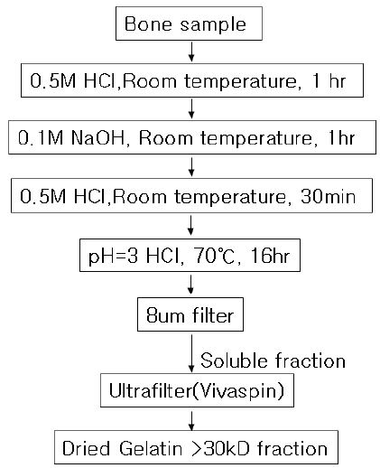 그림 7. 뼈시료 전처리를 위한 화학처리법 개요도