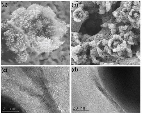 그림 36. (a)와 (b)는 AMS 측정을 위한 환원 처리 후 만들어진 Graphite시료의 SEM 사진이고 (c)와 (d)는 TEM 사진이다.