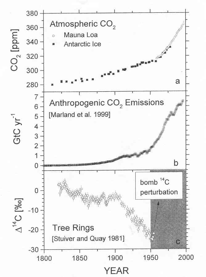 그림 44. (a) 대기 중 CO2의 함유량의 연도별 추이 (b) 화석연료로부터 나온 인위적인 CO2의 방출량 (c) 나이테를 이용하여 측정한 Δ14C의 연도별 추이.