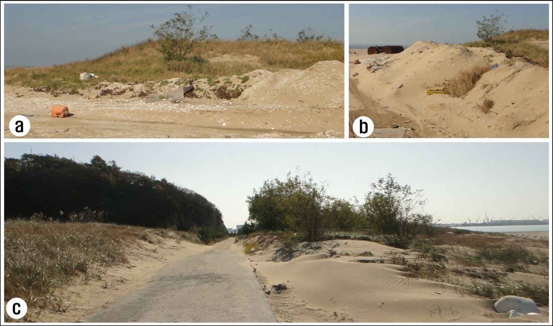 그림 4-40. 유부도 지역의 사구층(dune sand)