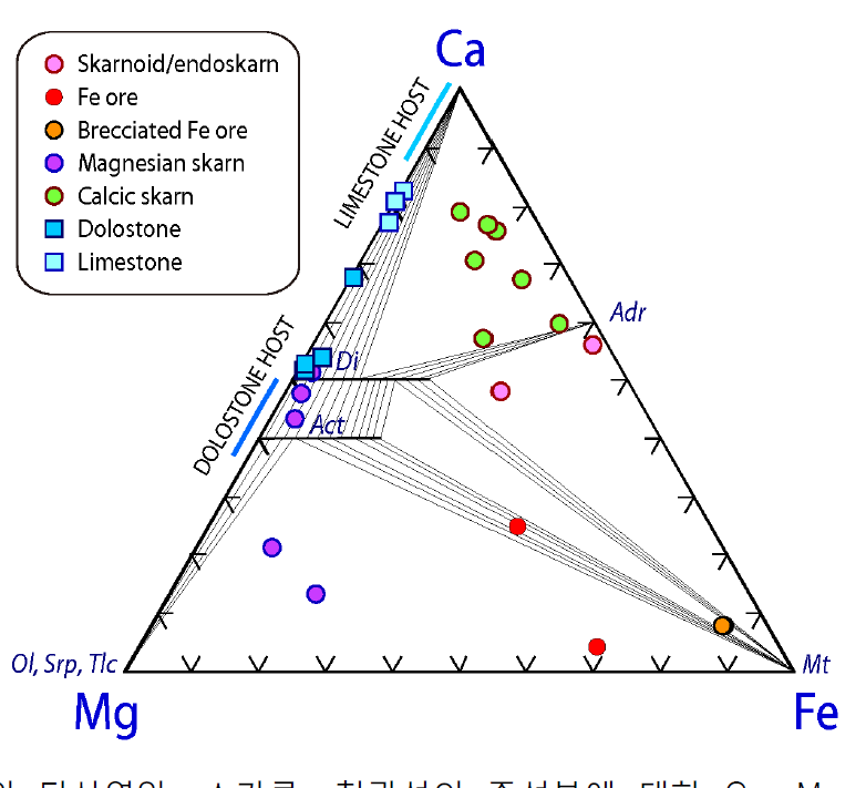 그림 3.2.31. 대표적인 탄산염암, 스카른, 철 광석의 주성분에 대한 Ca-Mg-Fe 관계도