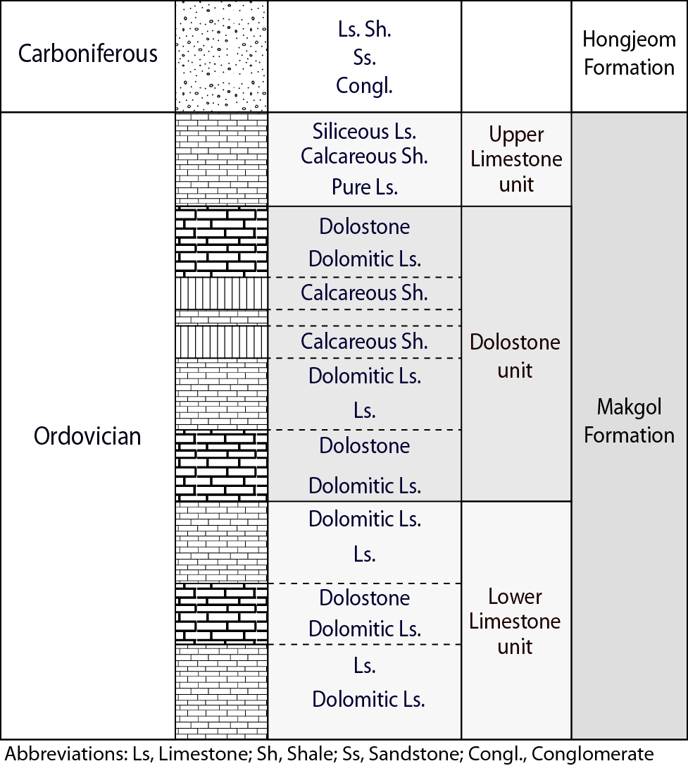 그림 3.2.9. 막골층은 하부 층으로부터 상부 층까지 다양한 암층서 변화를 보이는 백운암질 석회암, 백운암 및 석회암