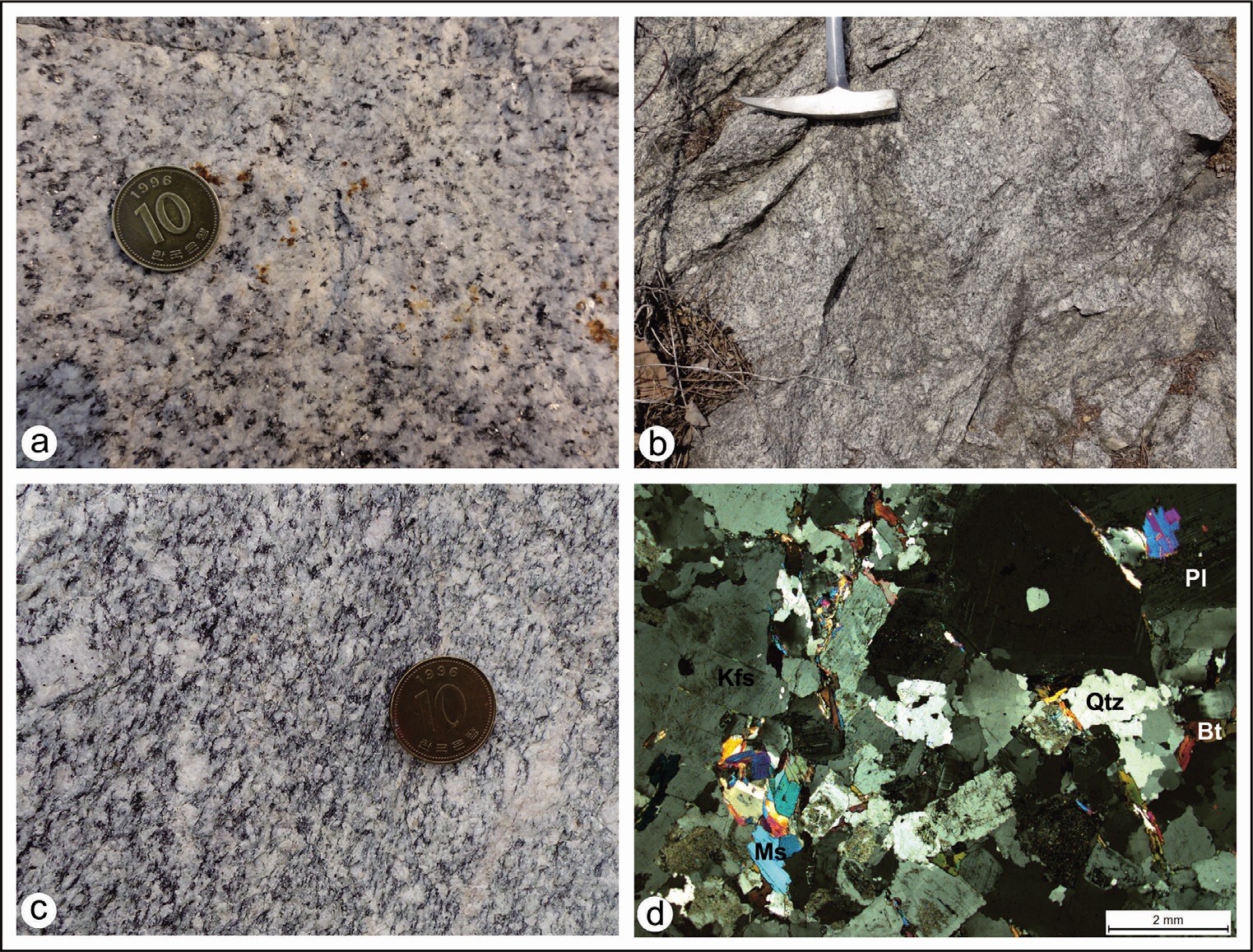 그림 4-9. 복운모화강암의 다양한 양상을 보이는 노두와 박편의 현미경 사진