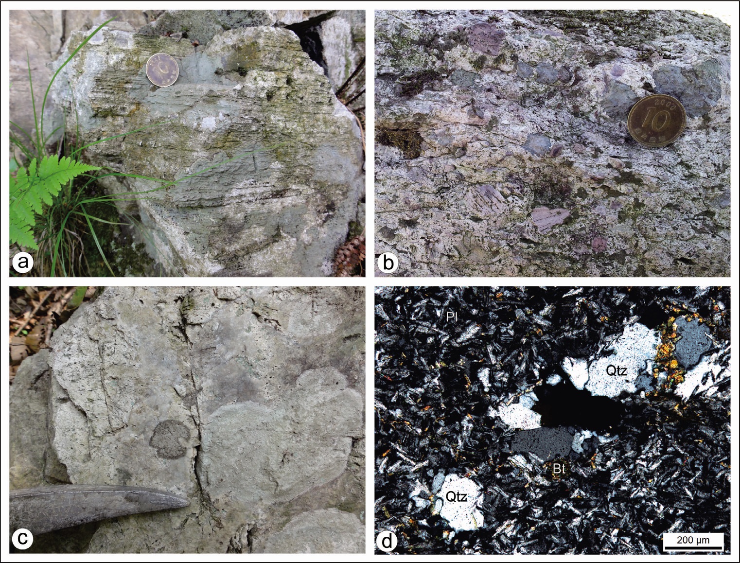 그림 4-16. 내장사화산암류의 다양한 암상
