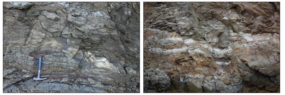 원산도 선촌항 부근에서 관찰되는 석영편암, 흑운모편암, 우백질 화강암의 호층대
