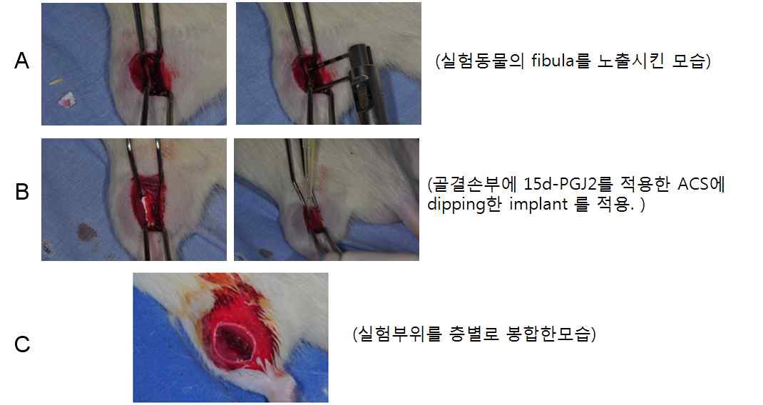 Fig. 27. Experimental design