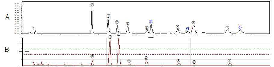 Fig. 34. HPLC analysis of MF extract and chemical structures of active components