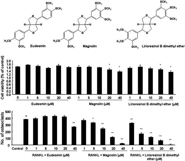 Fig. 35. Effects of eudesmin, magnolin, and lirioresinol B dimethyl ether on RANKL-induced osteoclast formation in BMMs