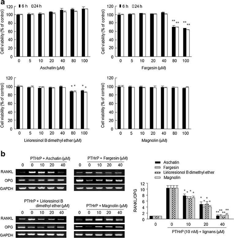 Fig. 41. Effects of lignan compounds on RANKL and OPG mRNA expression in hFOB1.19 human osteoblastic cells