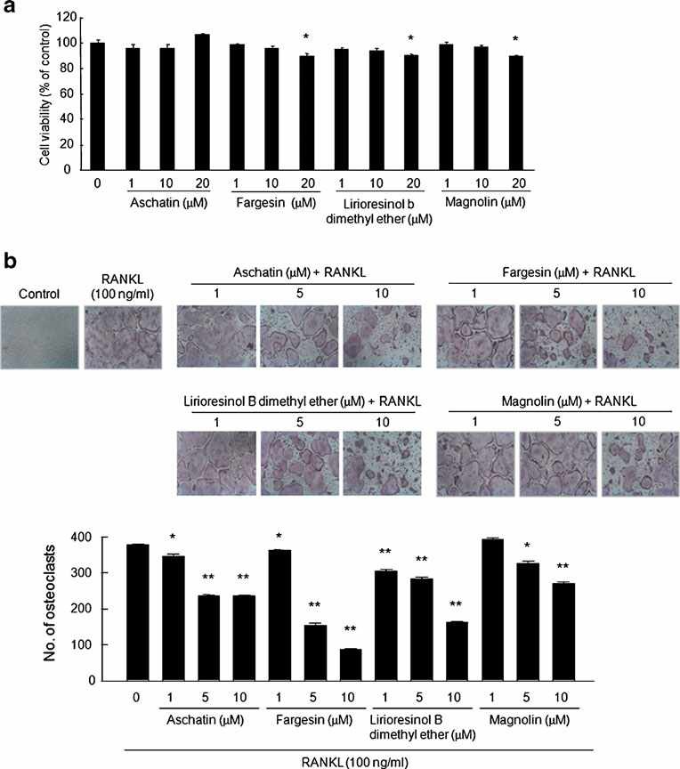 Fig. 42. Effects of lignan compounds on RANKL-induced osteoclast formation and bone resorption