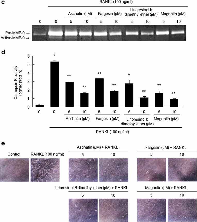 Fig. 42. Effects of lignan compounds on RANKL-induced osteoclast formation and bone resorption