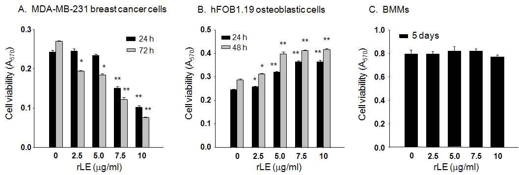 Fig. 50. The effect of rLE on the viability of MDA-MB-231, hFOB1.19, and BMM cells