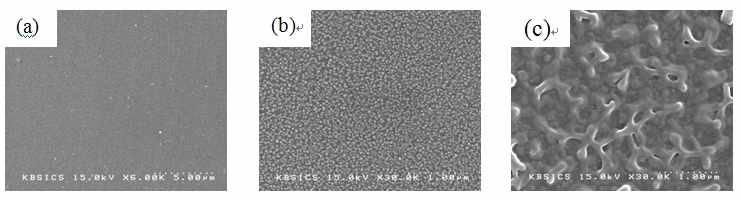 (a)탄소유리전극 표면, (b)탄소유리전극 위에 금 나노입자 전착, (c)루테늄 착화합물이 전착됨