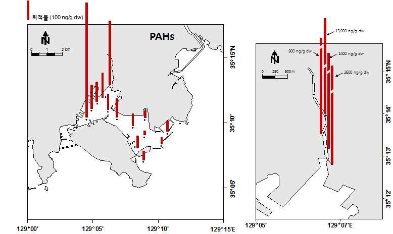 그림 6.9. 부산만과 동천의 퇴적물 중 PAHs의 농도 분포