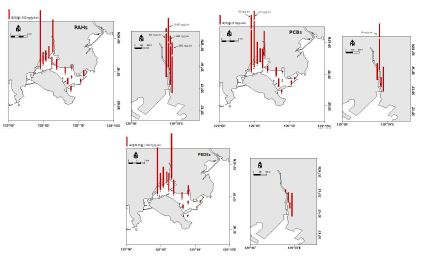 그림 8.6. 부산 북항 표층퇴적물 중 PAHs, PCBs, PBDEs의 농도
