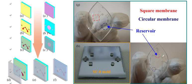 그림 14. 기판 전사 방법을 이용하여 reservoir가 있는 구조물의 제작 방법 및 결과물