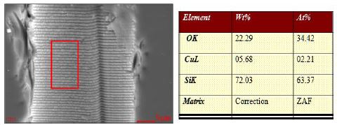 그림 49. EDS analysis of electroless plating layer
