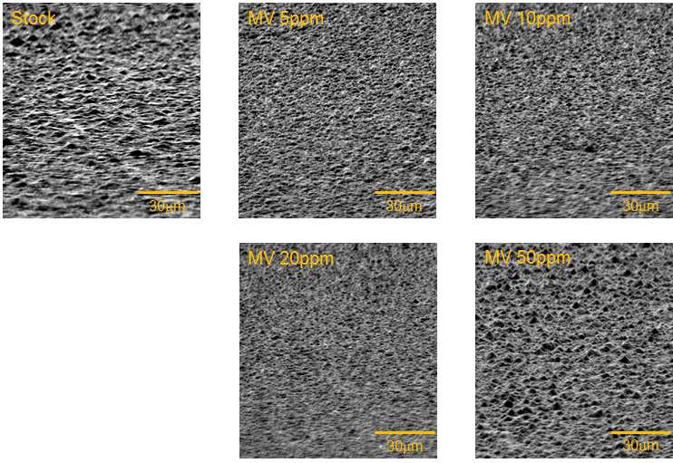 그림 71. Surface morphologies with variation of MV concentration(75o tilted)