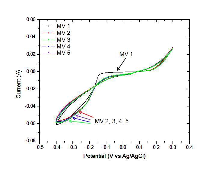 그림 82. Cyclic voltammograms of MV (50ppm, 50mV/sec, multi cycle)