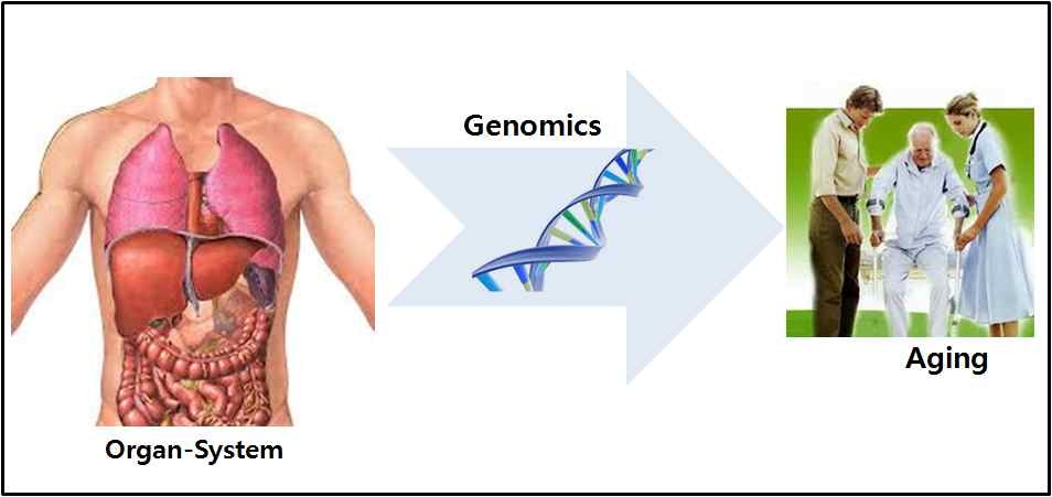 그림 3-2. Genomics 기반 Biolgoical Organ-System 구축