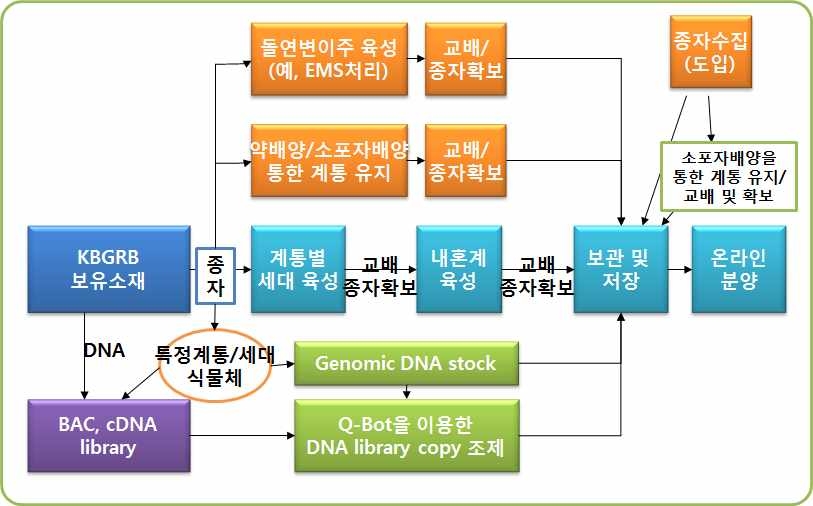 배추게놈소재은행 보유소재 관리 및 분양절차