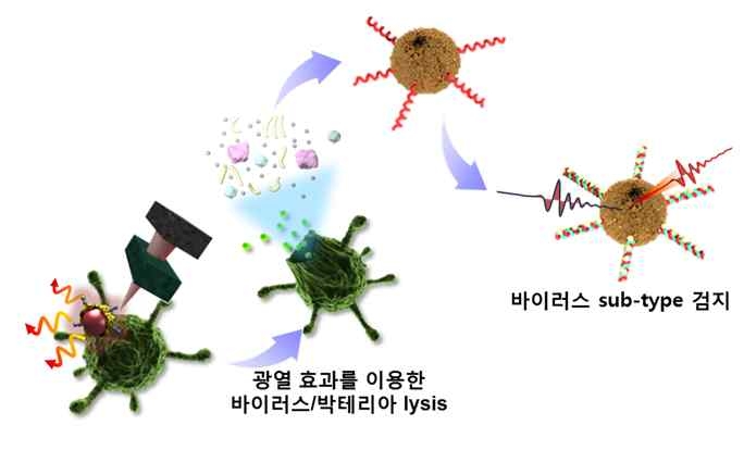 3D 광열 엑시플라즈모닉 나노프로브를 이용한 바이러스의 lysis 및 유전자 분석