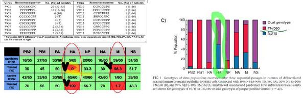신종플루 H1N1/pdm 바이러스 HA gene의 low hierachy 및 M gene의 high hierachy 확인