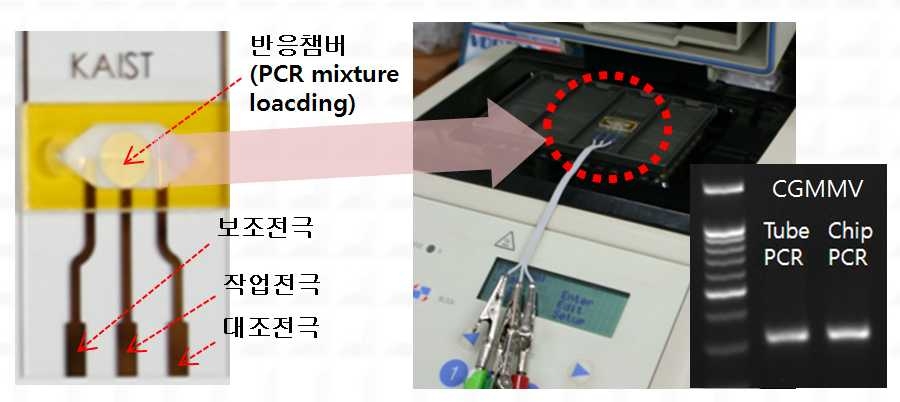전기화학적 real-time PCR용 칩과 실제 구동 예