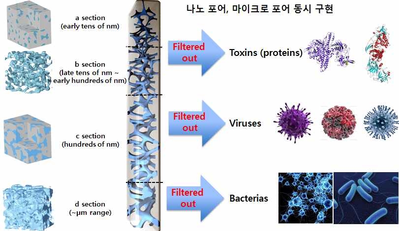 3D 유무기 필터의 개발 및 이를 이용한 바이러스의 선택적 분리