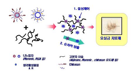 본 연구의 기본 모식도