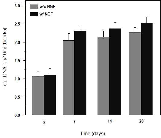 성장인자 (NGF)가 탑재된 다공성 구형입자에서의 근육줄기세포 증식 거동 (total DNA content)