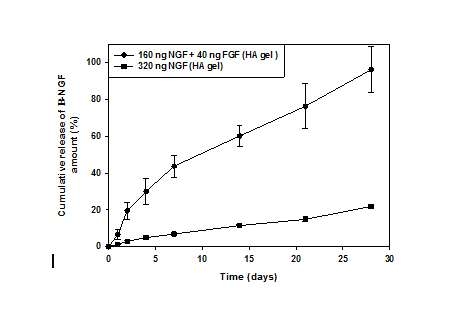 CS and HA 하이드로겔로부터 NGF의 방출 거동 분석