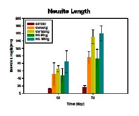 HA 및 CS 하이드로겔에서 방출된 NGF에 의한 PC12세포의 neurite 길이 분석 결과 (3 & 7 days)