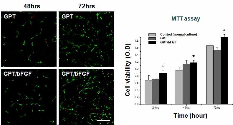 Gelatin (PEG-TA)하이드로겔 내 에서의 세포독성 및 증식