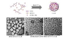 헤파린-플루로닉 나노입자의 제조 기술 모식도와 전자현미경 (TEM) 사진