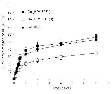 하이드로겔 메트릭스에서의 bFGF 방출 거동