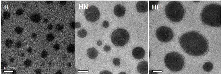 다양한 나노입자를 탑재한 헤파린 나노입자의 전자현미경 (TEM) 사진
