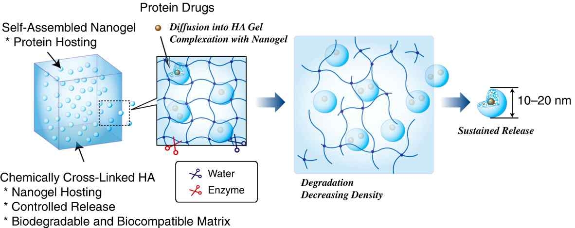 나노입자-하이드로겔 하이브리드 시스템 모식도
