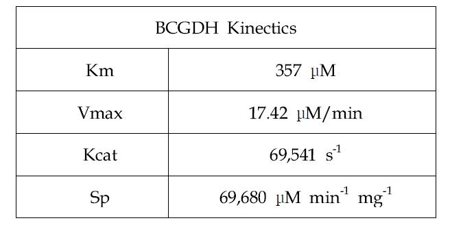 Lineweaver-Burk plot을 통한 BCGDH 효소의 kinetic parameters 분석