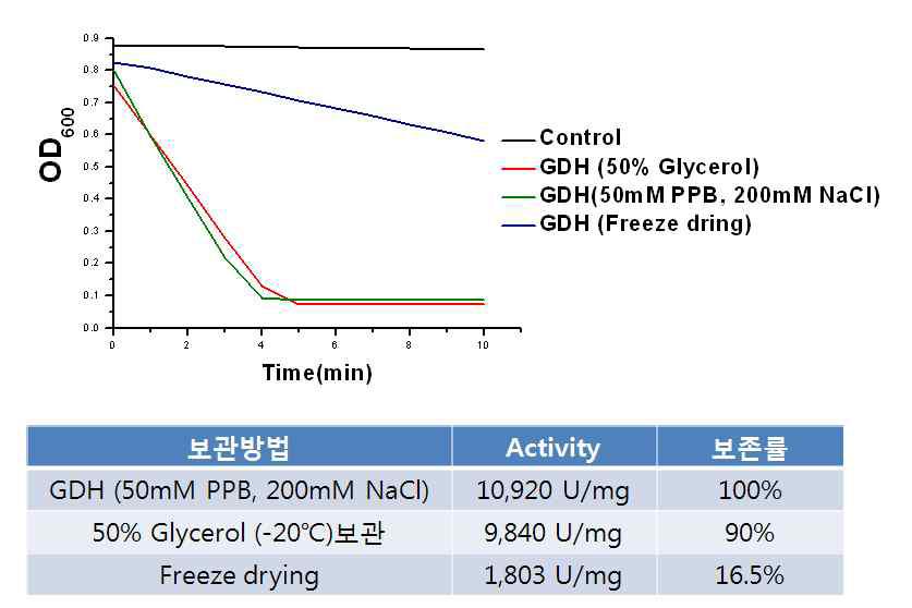 분리정제된 BCGDH 효소의 보존방법에 따른 활성변화 비교