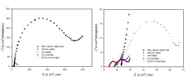 Impedance spectroscopy: 각 고정화 과정 중의 탄소전극의 Nyquist plot