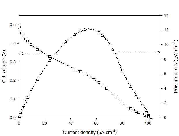 Current-Voltage 곡선과 Current-Power 곡선: GOx와 ferrocene이 고정화된 산화전극, bilirbin oxidase가 고정화된 환원전극
