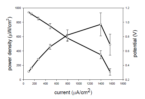 CNT-Gox 산화전극과 CNT-laccase 환원전극으로 구성된 생체연료전지의 전류-전압, 전류-전력 곡선: 전극면적대비 전력발생량. 0.1 M phosphate buffer (pH7), 0.1 M glucose 도입